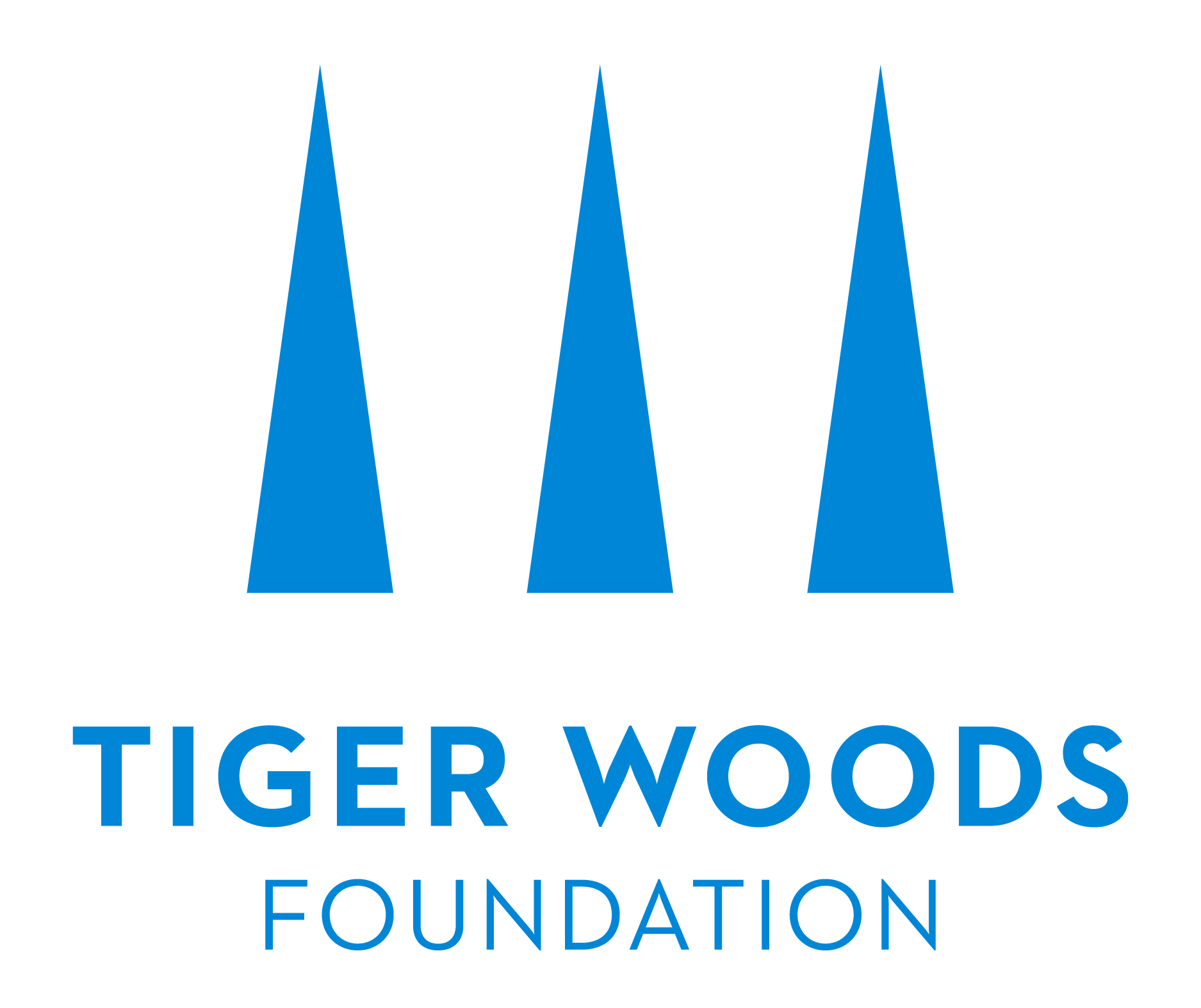 Image result for tiger woods learning center